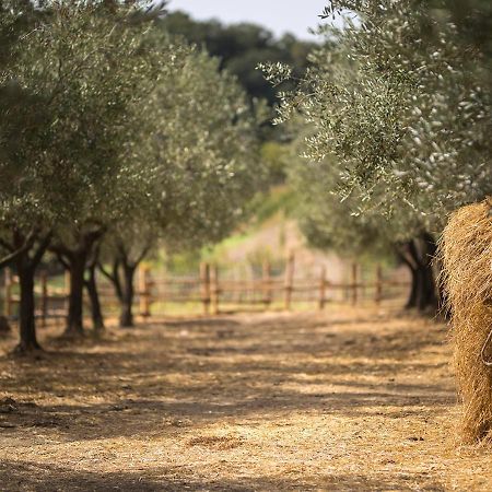 הוילה Serre  Casa Agricola Scorziello מראה חיצוני תמונה