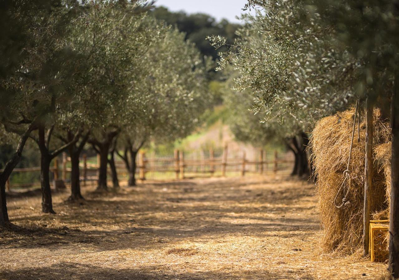 הוילה Serre  Casa Agricola Scorziello מראה חיצוני תמונה